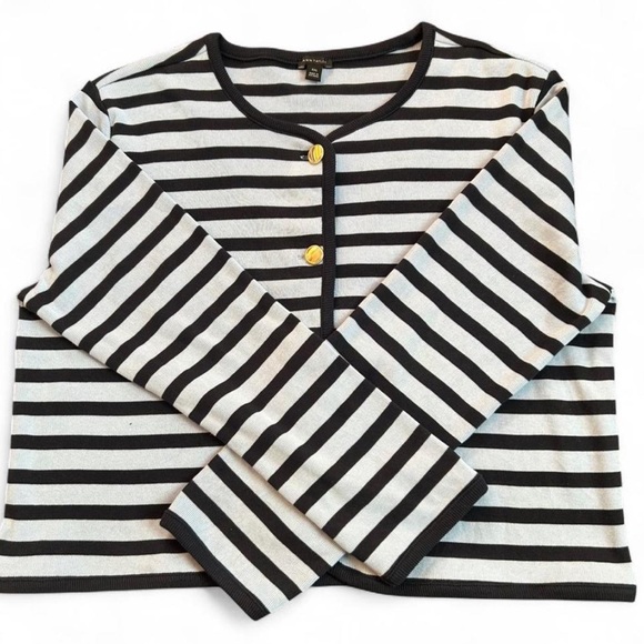 Ann Taylor Sweaters - Ann Taylor Striped Blue Cardigan XXL Gold Button Cotton 2025 Preppy Quiet Luxury